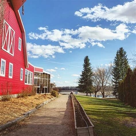 The Berry Barn | Fresh Saskatoon Berries, Bakery, and Restaurant