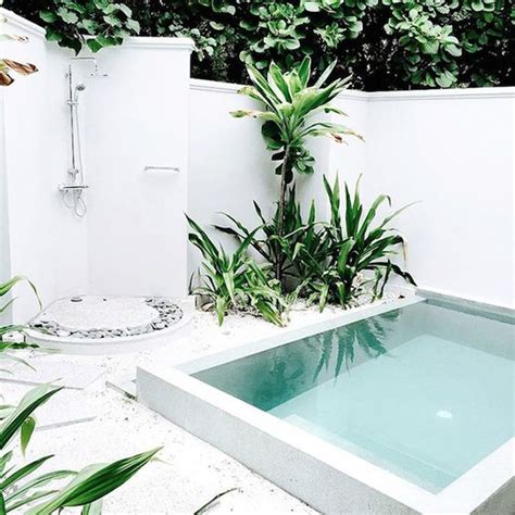 28 Cool Plunge Swimming Pools For Outdoors - DigsDigs