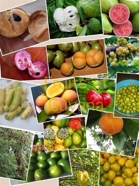 Guyana Favorites fruits | Caribbean recipes, Guyanese recipes, Guyanese