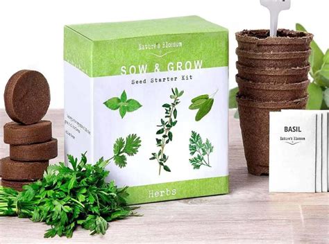 Indoor Herb Garden Kits for Fresh Kitchen Herbs | Family Food Garden