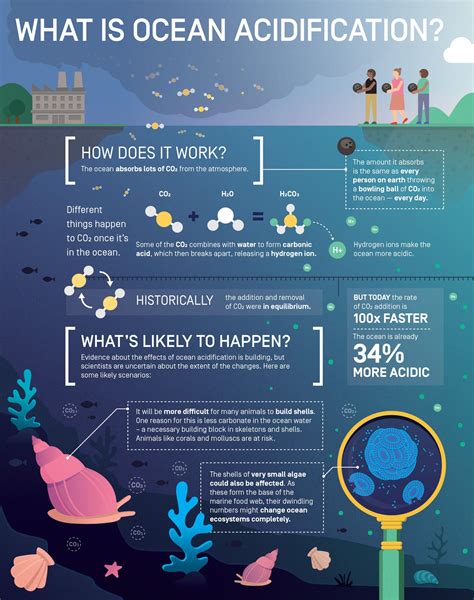 The CO2 Conundrum - Save Our Seas Magazine