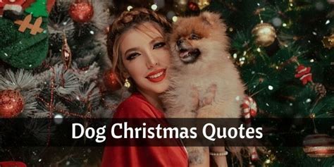 99+ Best Funny Dog Christmas Quotes and Card Sayings Images Christmas ...