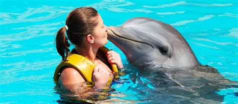 Top Dolphin Cruises in Gulf Shores & Orange Beach, AL | Alabama CFY