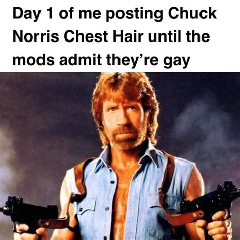 Day 1 of me posting Chuck Norris Chest Hair until the mods admit they're gay if - iFunny