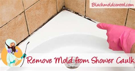 Remove Black Mold from Shower and Bathroom Caulk