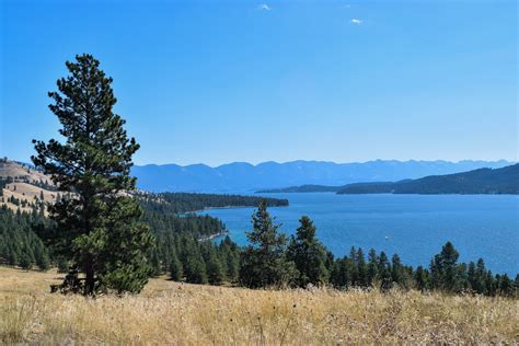 Afternoon Hike on Montana’s Wild Horse Island – Patricia Heatherington.com