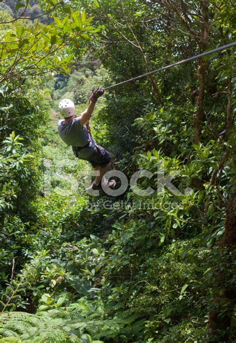 Riding On A Zipline Stock Photo | Royalty-Free | FreeImages