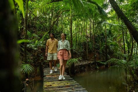 Undeniable Reasons to Visit the Daintree Rainforest | Queensland