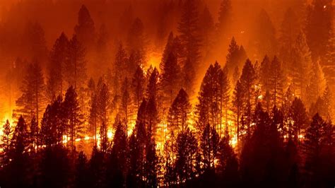 CA wildfire updates: Latest on Dixie, Trinity County fires | Merced Sun-Star