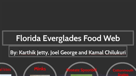 Florida Everglades Food web by Karthik Jetty on Prezi