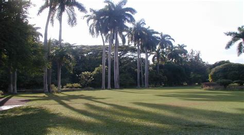 Hope Botanical Gardens Jamaica | Fasci Garden