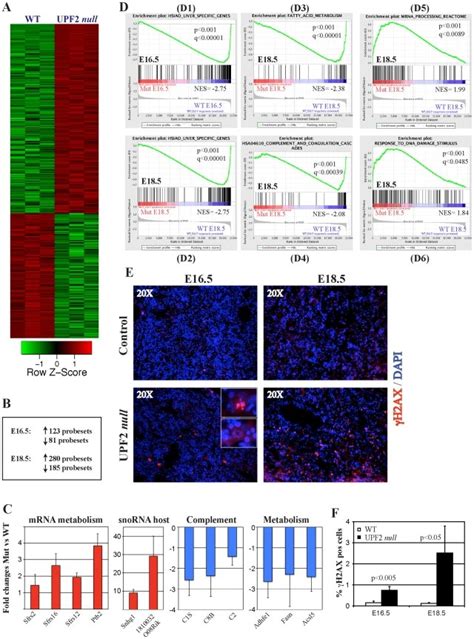 (A) Cluster analysis of normalized affymetrix expression data from... | Download Scientific Diagram