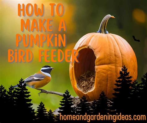 How to Make a Pumpkin Bird Feeder - Home and Gardening Ideas