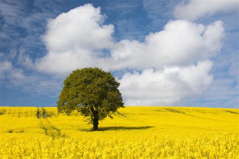 West Yorkshire Landscape Photography - David Speight Photography