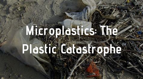 Effects of Microplastics on Human Health (Facts & Studies)