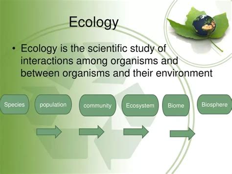 PPT - Ecology PowerPoint Presentation, free download - ID:2827897