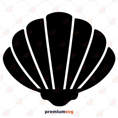 Seashell SVG | Seashell Silhouette Instant Download | PremiumSVG