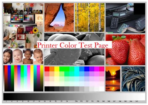 How to Print a Color Test Page and Ensure Printer Accuracy | Printer Test Page