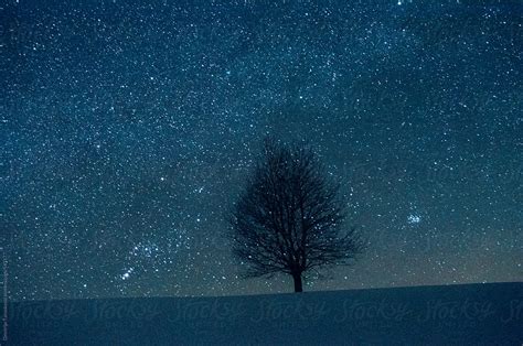 "Beautiful Winter Night With A Lot Stars In The Sky" by Stocksy Contributor "Dimitrije ...