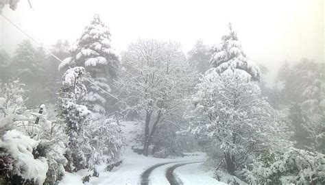 Snowfall In Kanatal Offers A Delightful Retreat In 2024