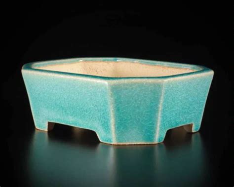 TOKONAME BONSAI POT - SHIBAKATSU - ARTIST, SHIBATA SHOUICHI | Bonsai pots, Ceramic pots, Bonsai