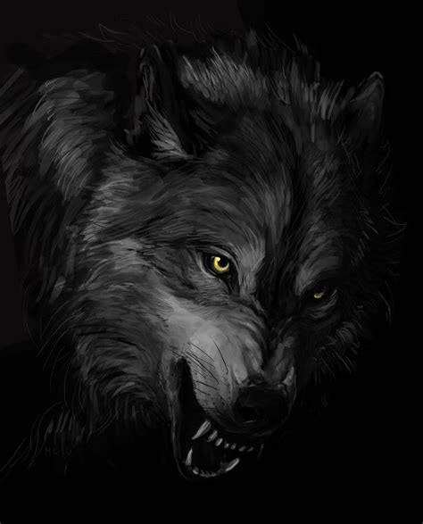 Black Wolf Wallpaper | WhatsPaper