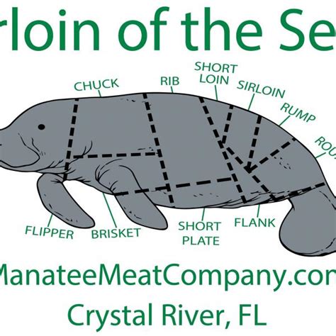 Manatee Meat Company - 36th Annual Florida Manatee Festival - Crystal ...