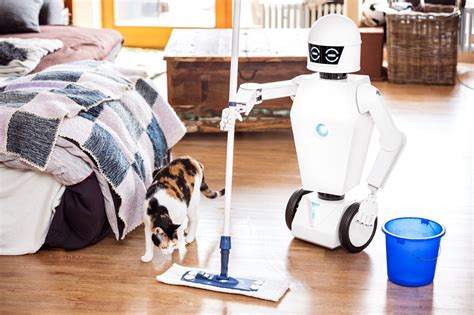 These household chores will be done by robots by 2040