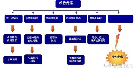 疼痛知多少：疼痛的评估、分类和治疗 - 知乎