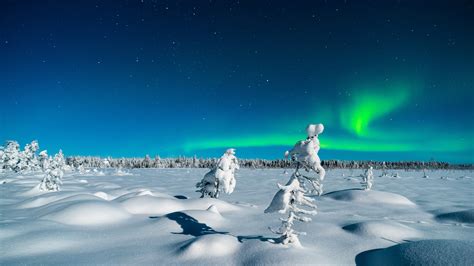 Dreaming of a winter wonderland in Swedish Lapland - Photofocus