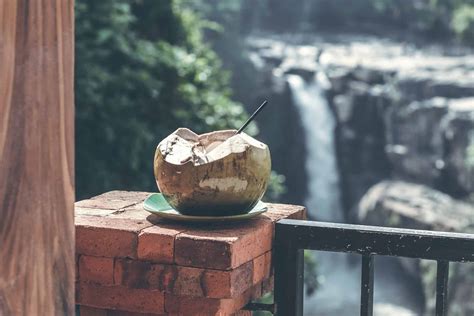 You Asked: Is Coconut Water Good For Skin?