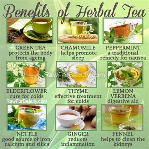 Herbal tea benefits | Herbal tea benefits, Tea benefits, Herbalism