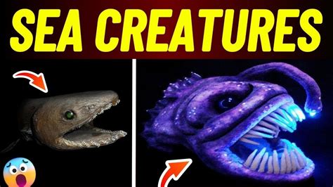 Top 10 Creepiest Deep Sea Creatures - Unveiling the Monsters of the Under Water! #seacreatures ...