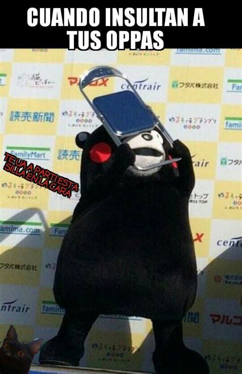 Memes Kumamon | •K-Pop• Amino