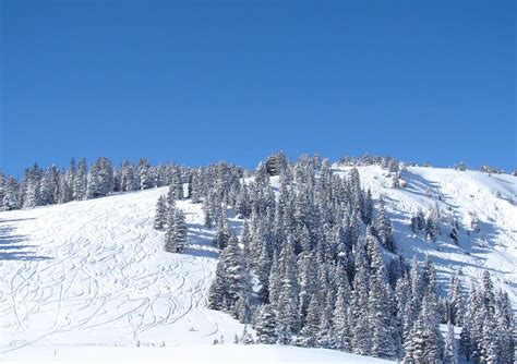 A snowy ski hill stock image. Image of view, park, lofty - 2958043