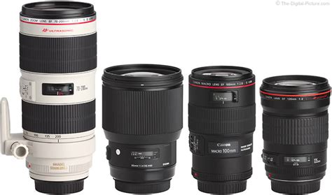 What Is a Portrait Lens?