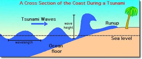 Tsunami | Shoaling process, shallow waters and energy release waters and energy release