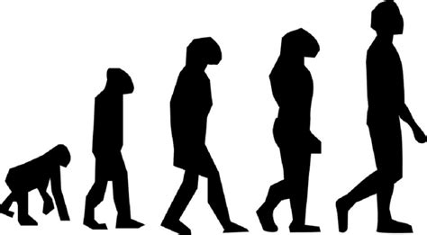 Evolution: why it seems to have a direction and what to expect next