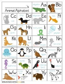 Animal Alphabet Chart Handout for Pre-K - 1st Grade | Lesson Planet