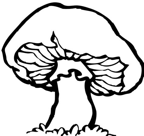 mushroom clipart black and white - Clip Art Library