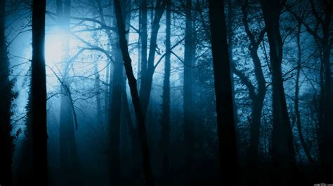 Creepy Forest Wallpapers - 4k, HD Creepy Forest Backgrounds on WallpaperBat