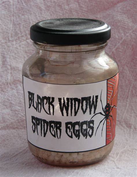 POTIONSMITH: Black Widow Spider Eggs