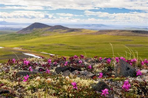 Chukotka Autonomous Okrug Mountains