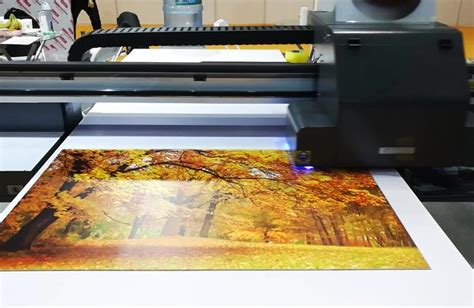 High-Quality UV Printing | #1 Signage Company in Dubai UAE Signs