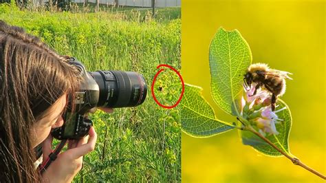 Canon EF 100mm Macro Lens - Leader Center