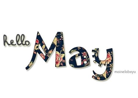 80 Hello May Quotes & Sayings | Hello may, Hello may quotes, May quotes