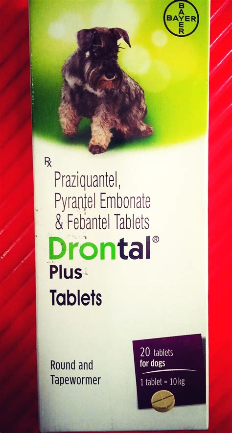 Drontal Plus Tablets at Rs 540/strip | Thirunindravur | Chennai| ID: 19937594730