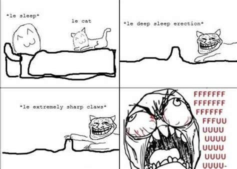 CyBeRGaTa: Troll Cat and other Meme Kittehs