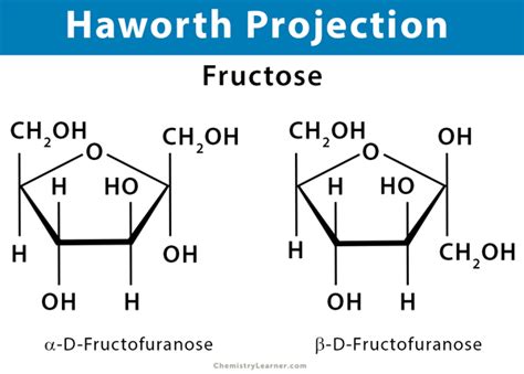 Haworth Projection: Definition, Illustration, and Examples