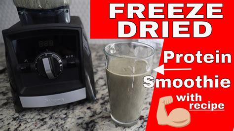 Freeze Dried Protein Smoothie -- Single Serving Banana Blueberry ...